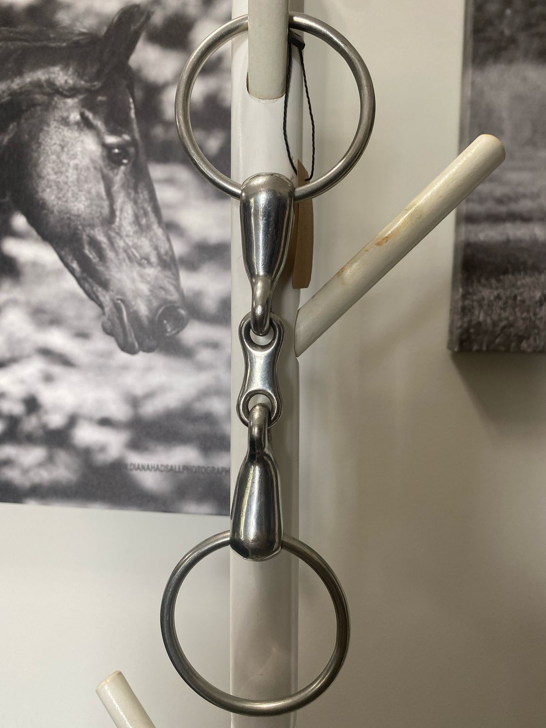 Loose Ring Snaffle (5 Inch)