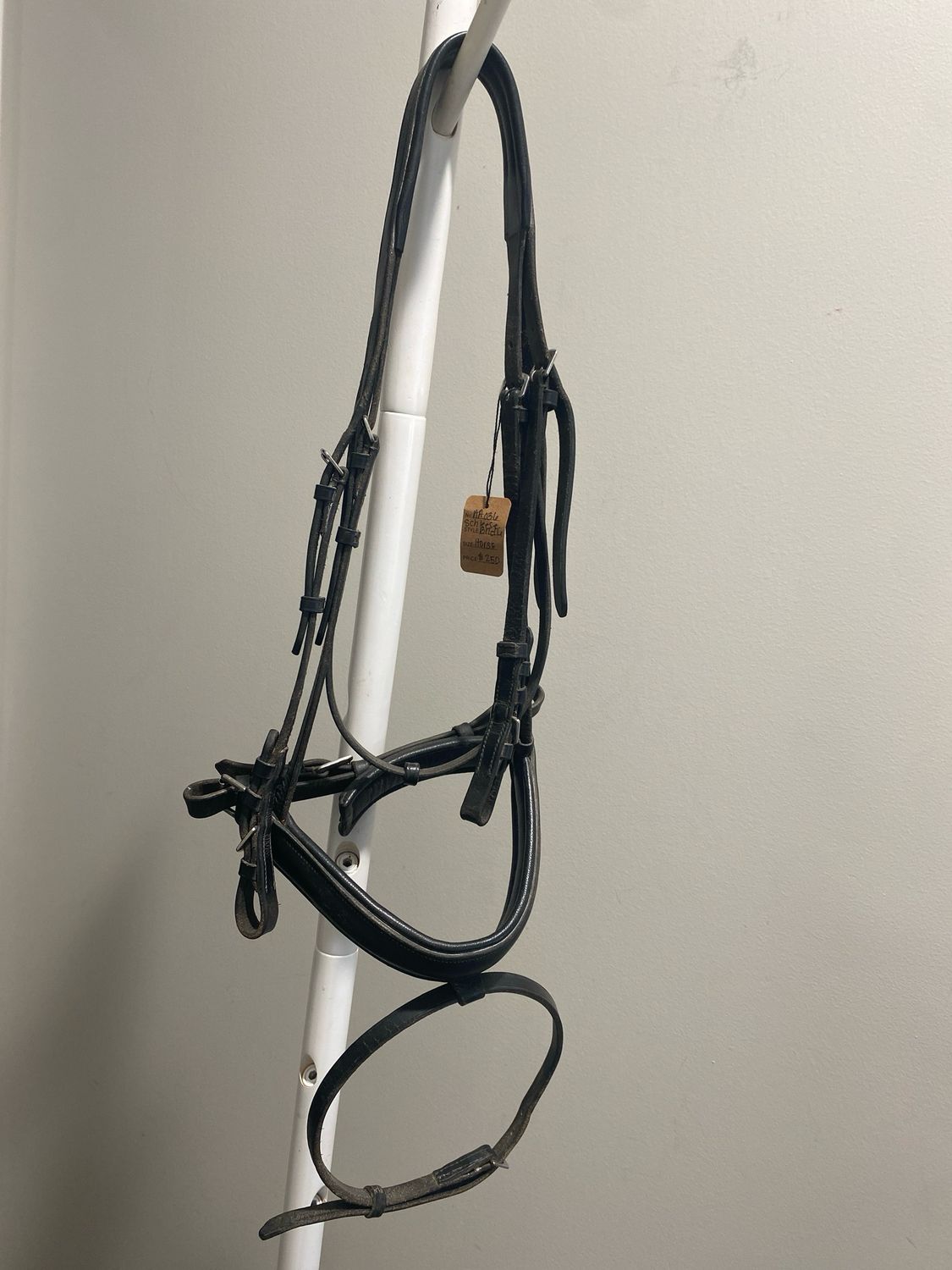 Schleese Bridle Horse Size