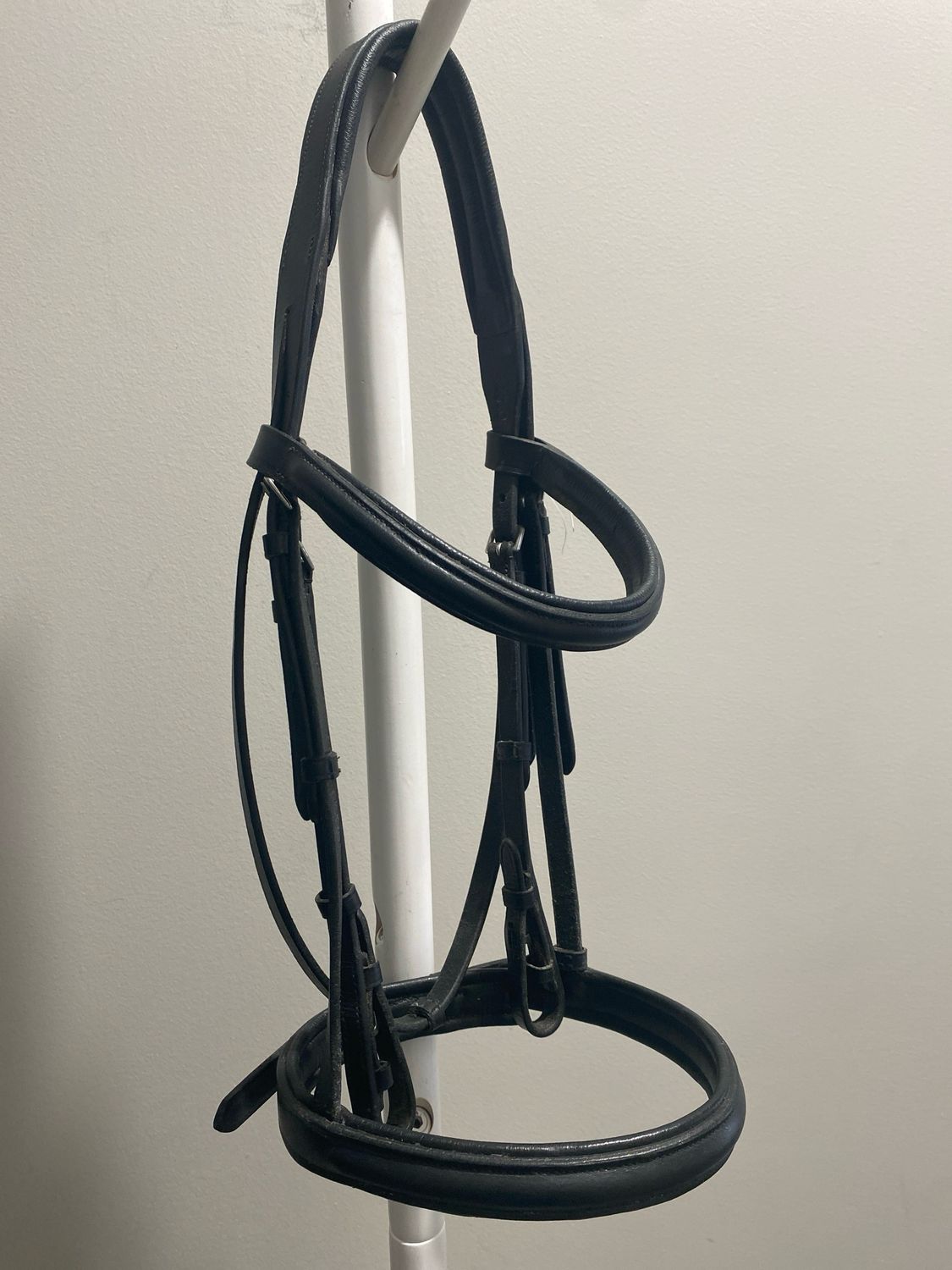 Black Horse Bridle