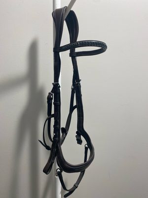 Exion Bridle Warmblood Size