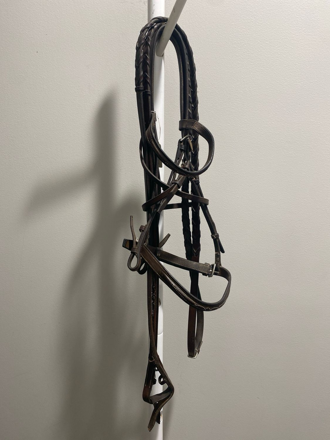 21st Century Cob Size Bridle with Reins