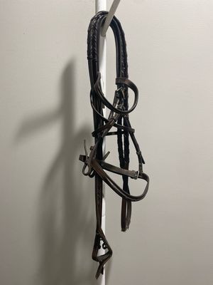 21st Century Cob Size Bridle with Reins
