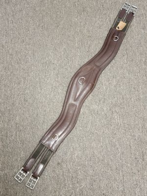 40" Anatomical