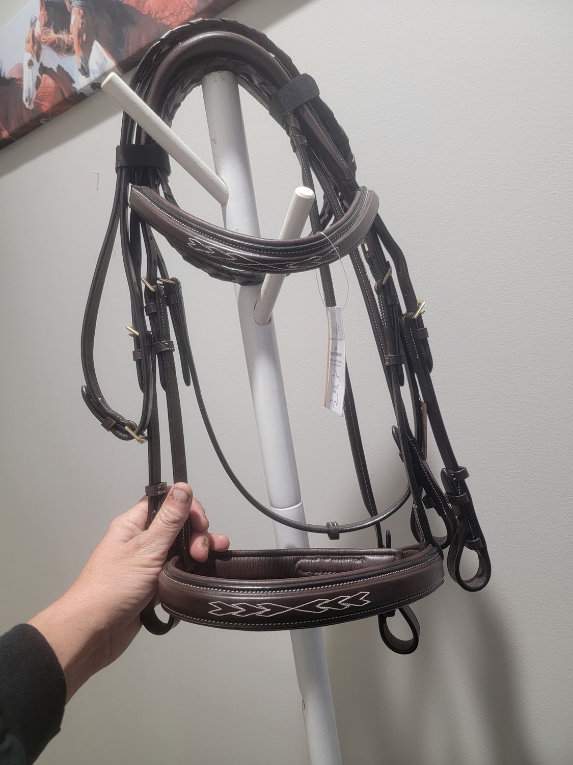 Seabis Grenada Brown cob