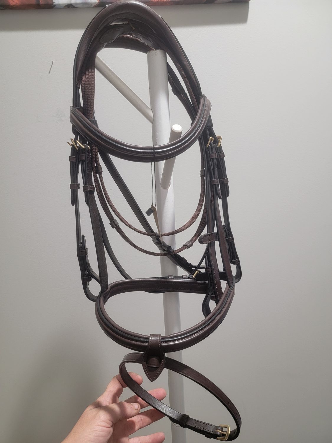 Seabis Toronto Brown cob