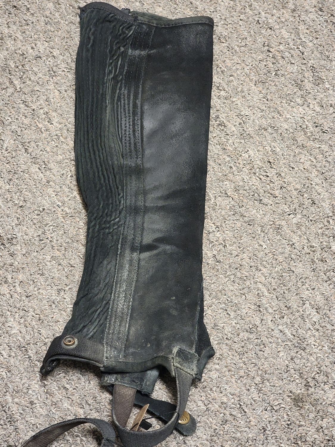 Tredstep of Ireland half chaps