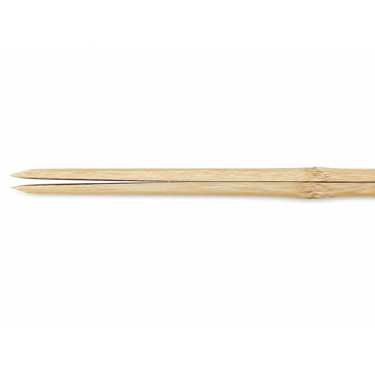Naginata Saki-take – Bamboo Blade Section