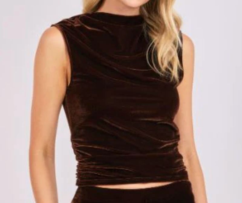 SADIE &amp; SAGE VELVET RUCHED TOP