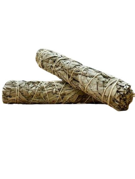 White Sage Smudge Stick (Mexican) - Large (9 inch)