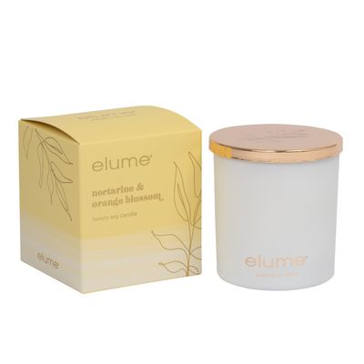 Nectarine &amp; Orange Blossom Soy Candle