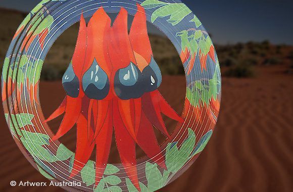 Desert Pea