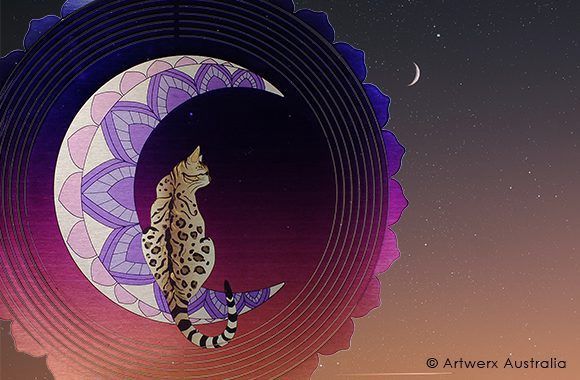 Crescent Cat