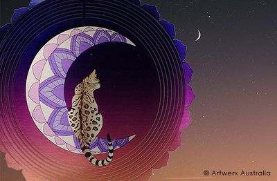 Crescent Cat