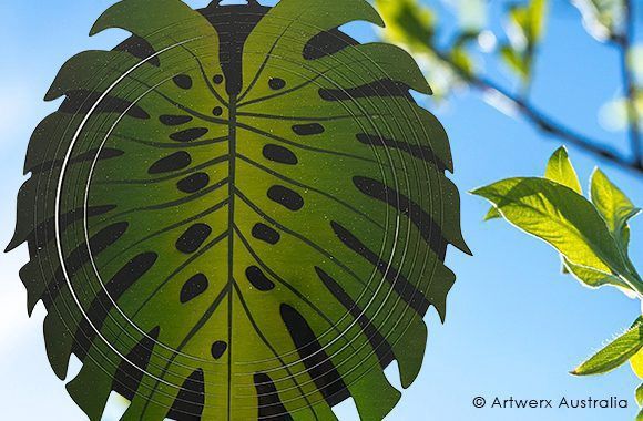 Monstera