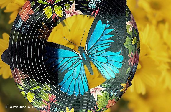 Ulysses Butterfly
