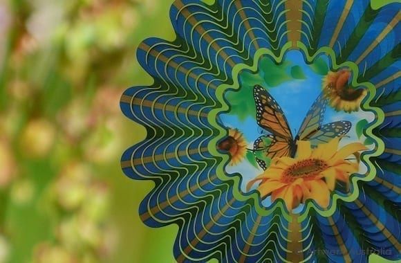 Butterfly Hologram