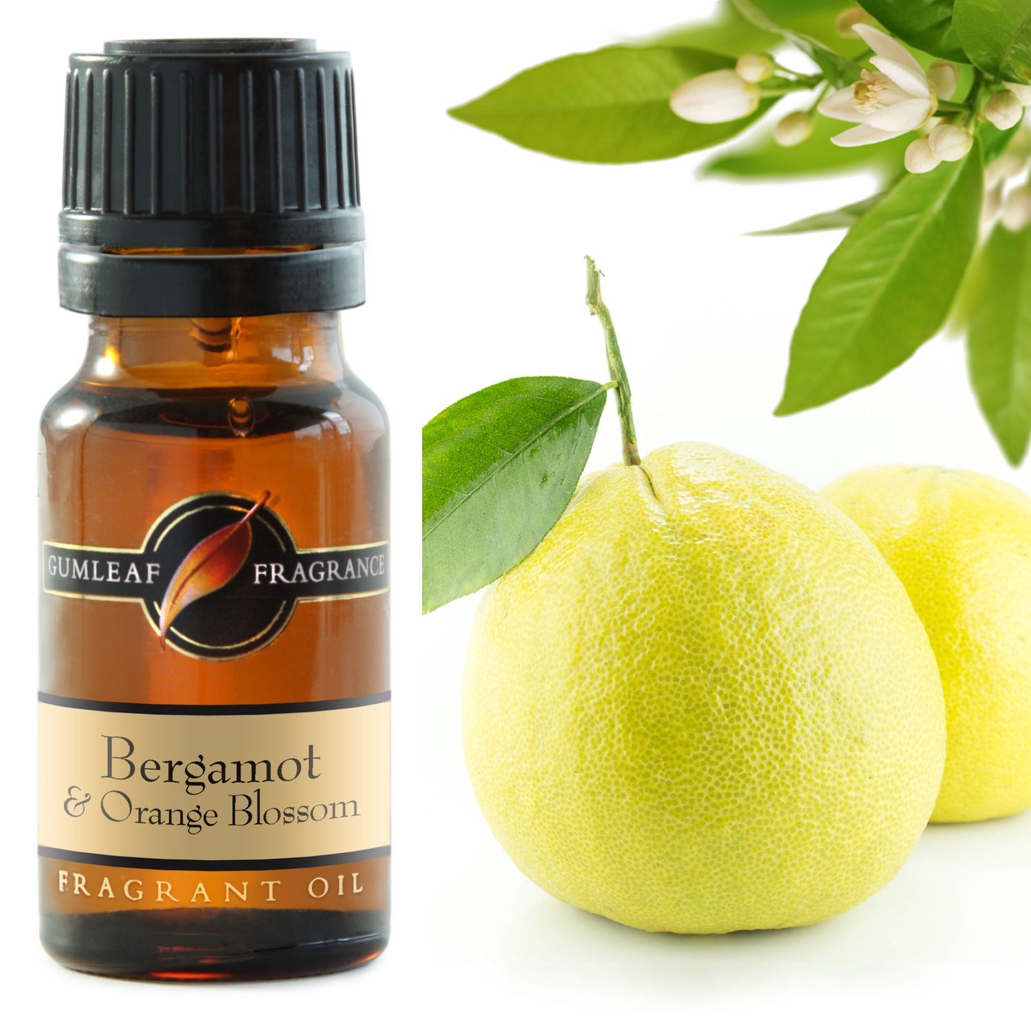 Bergamot &amp; Orange Blossom Fragrance Oil