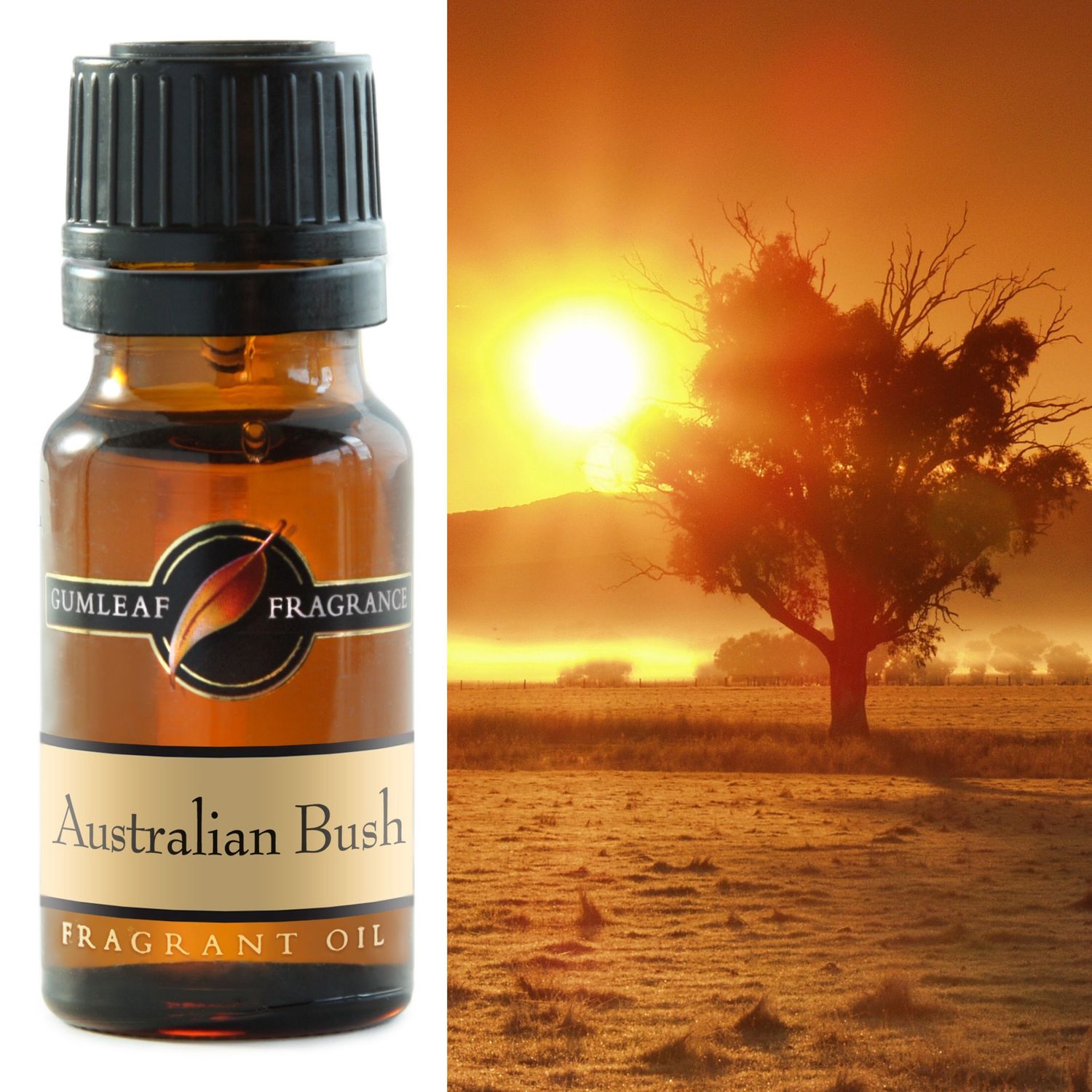 Australian Bush Fragrance Oil