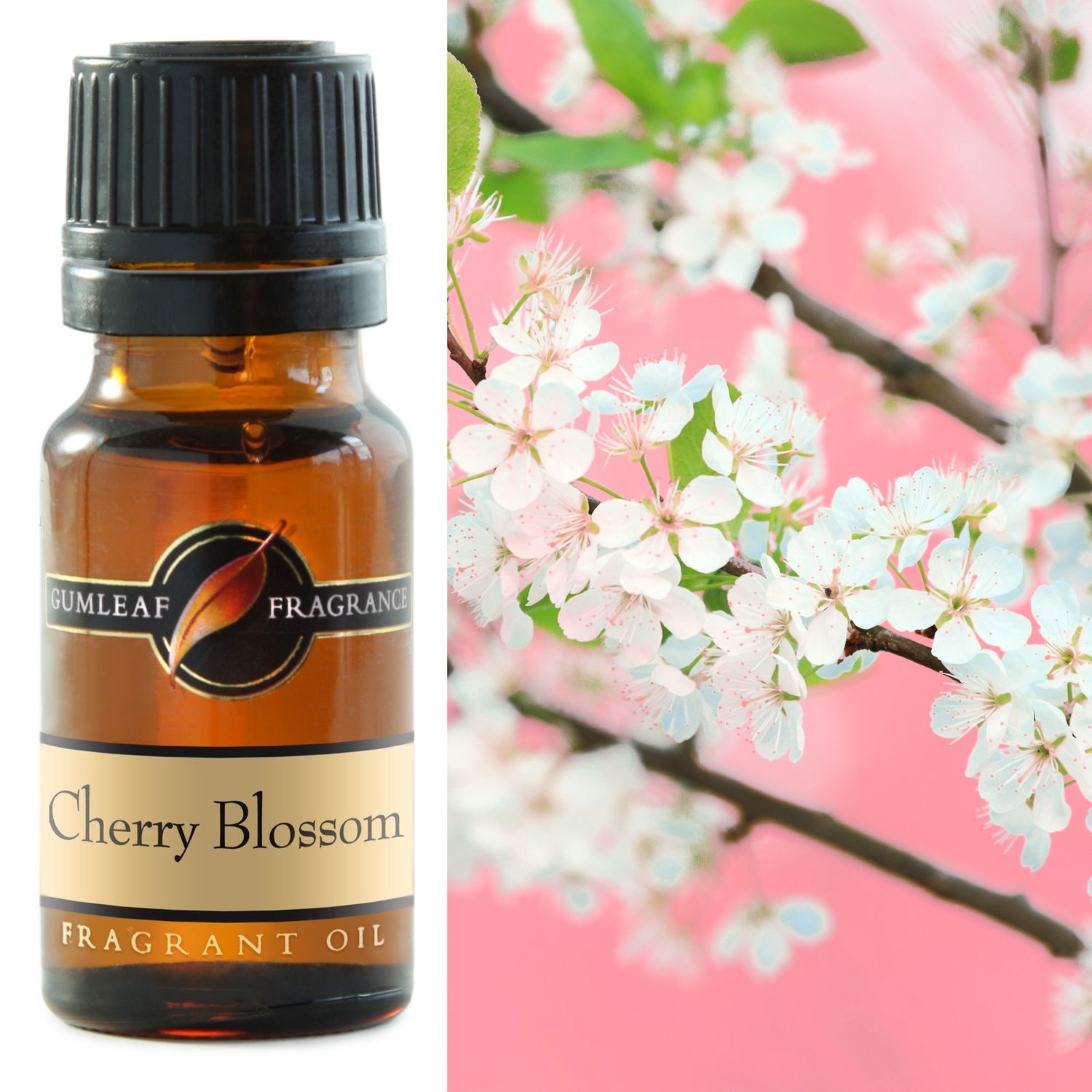 Cherry Blossom Fragrance Oil