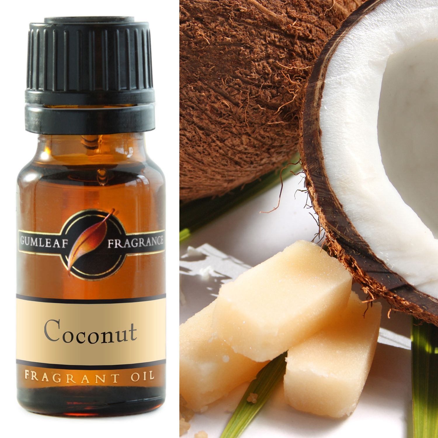 Coconut Fragrance Oil