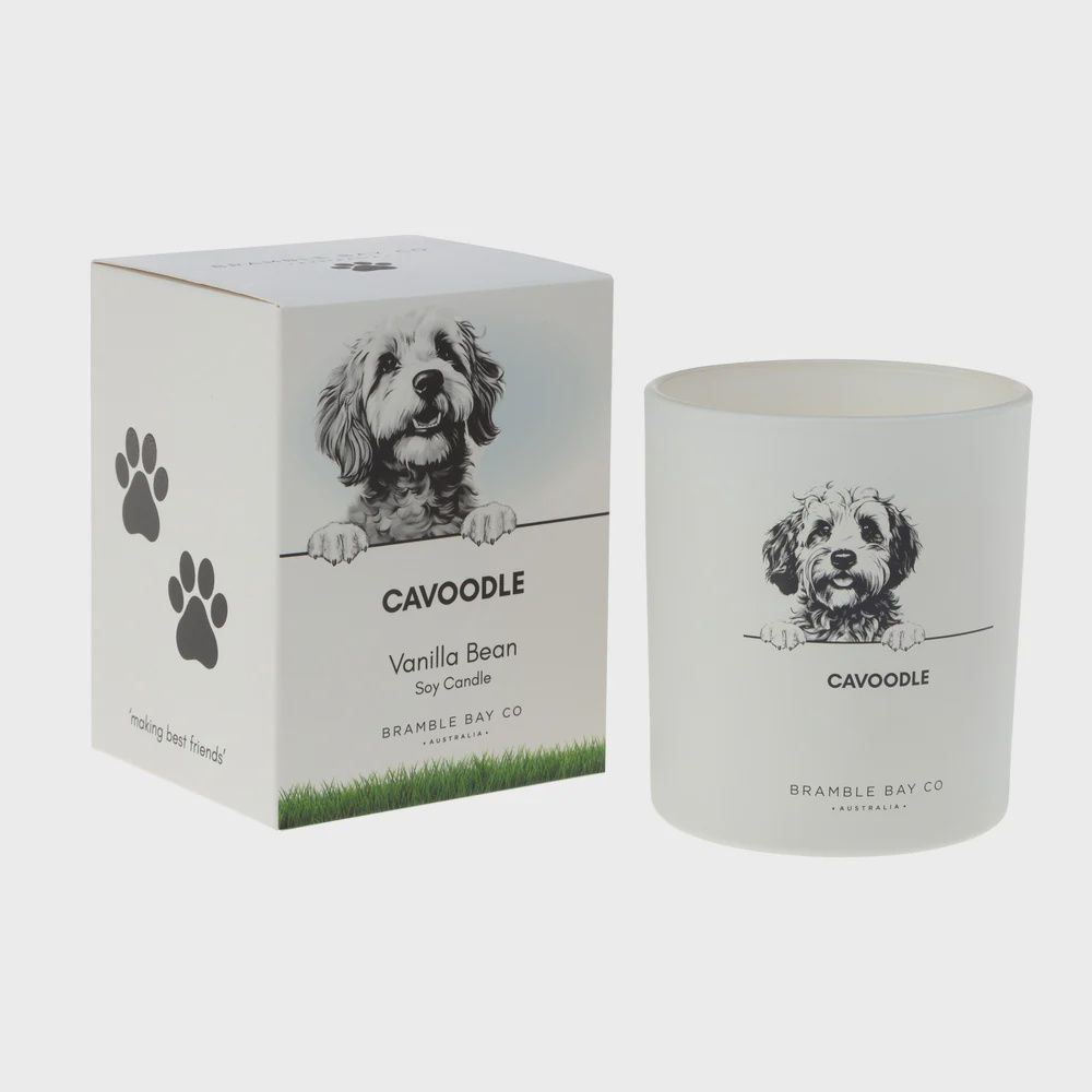 Cavoodle - Soy Candle