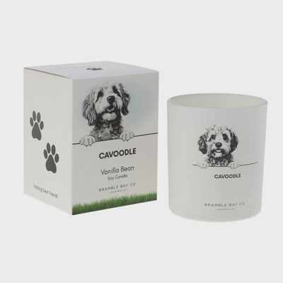 Cavoodle - Soy Candle