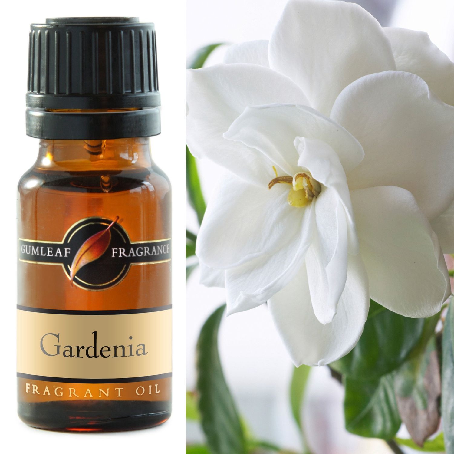 Gardenia Fragrance Oil