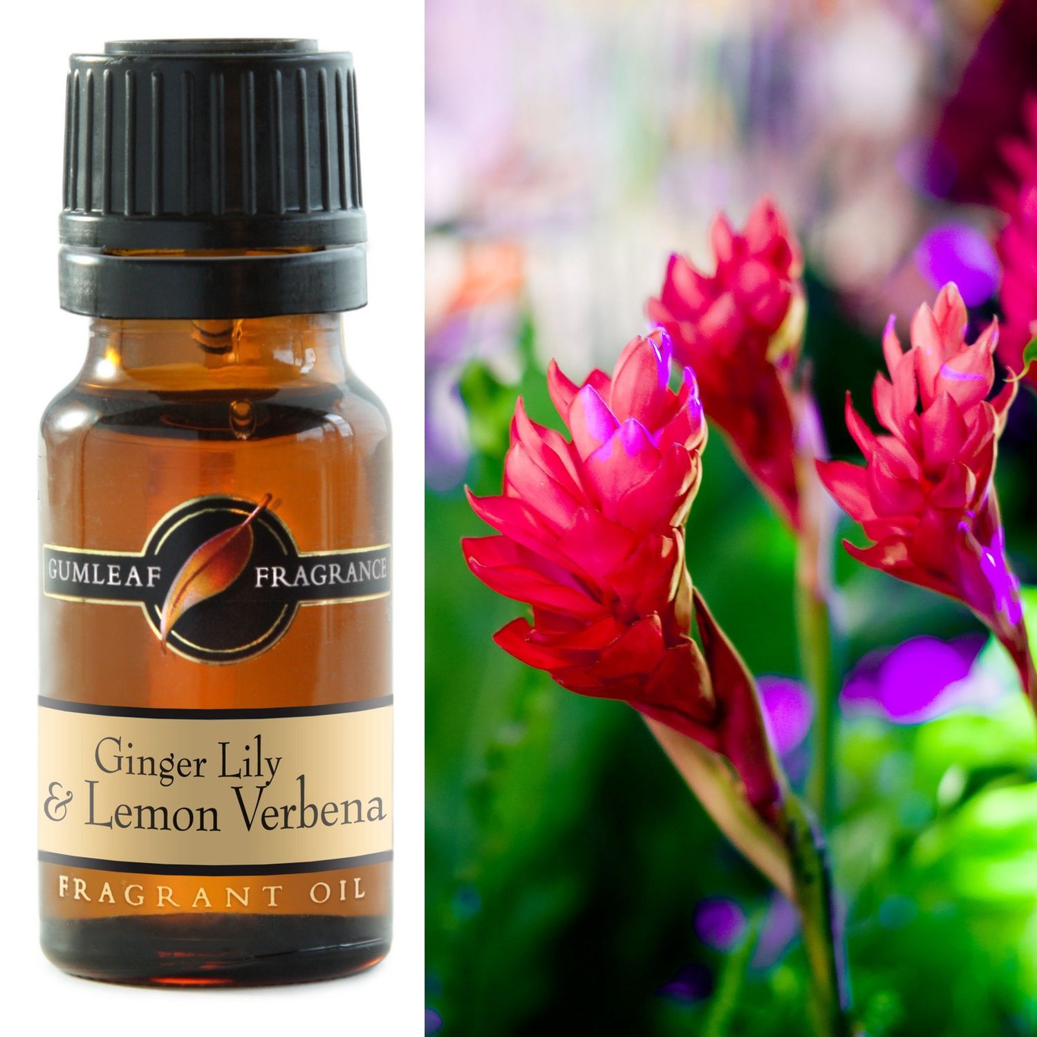 Ginger Lily &amp; Lemon Verbena Fragrance Oil