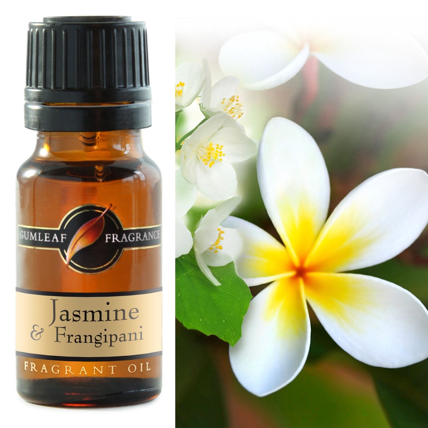 Jasmine &amp; Frangipani Fragrance Oil