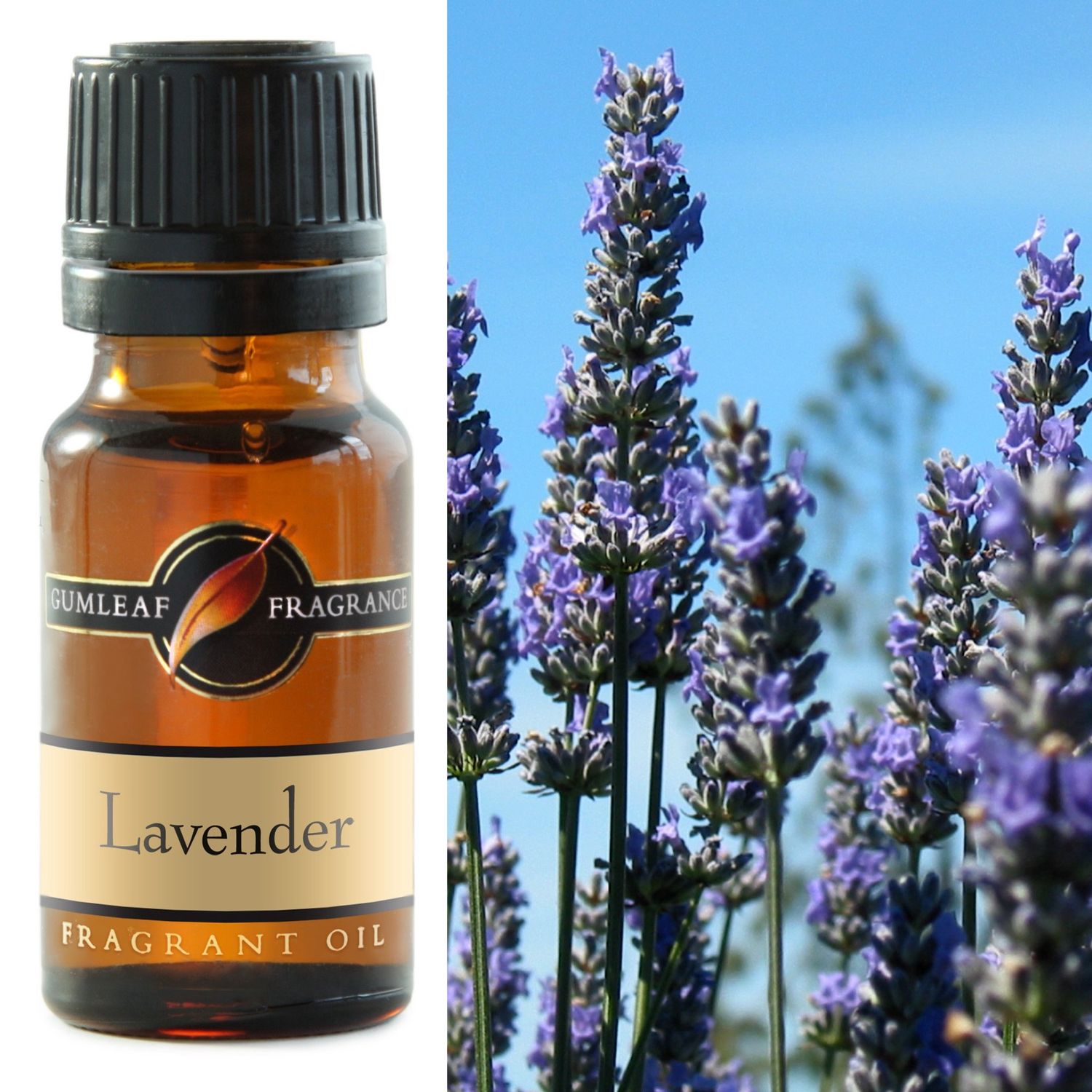 Lavender Fragrance Oil