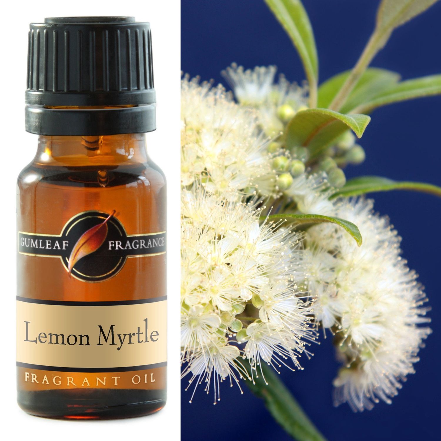 Lemon Myrtle Fragrance Oil