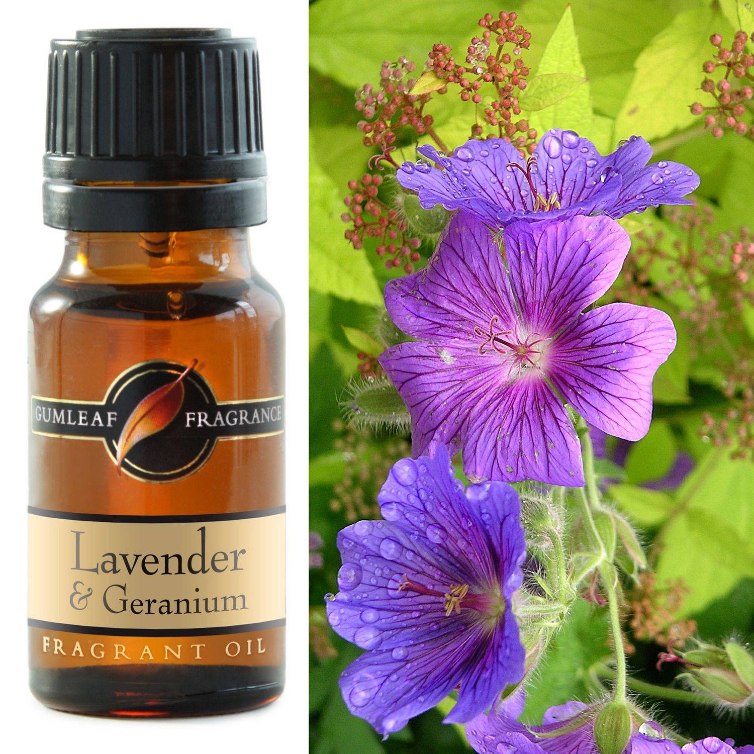 Lavender &amp; Geranium Fragrance Oil