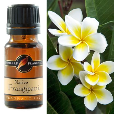 Native Frangipani Fragrance Oil