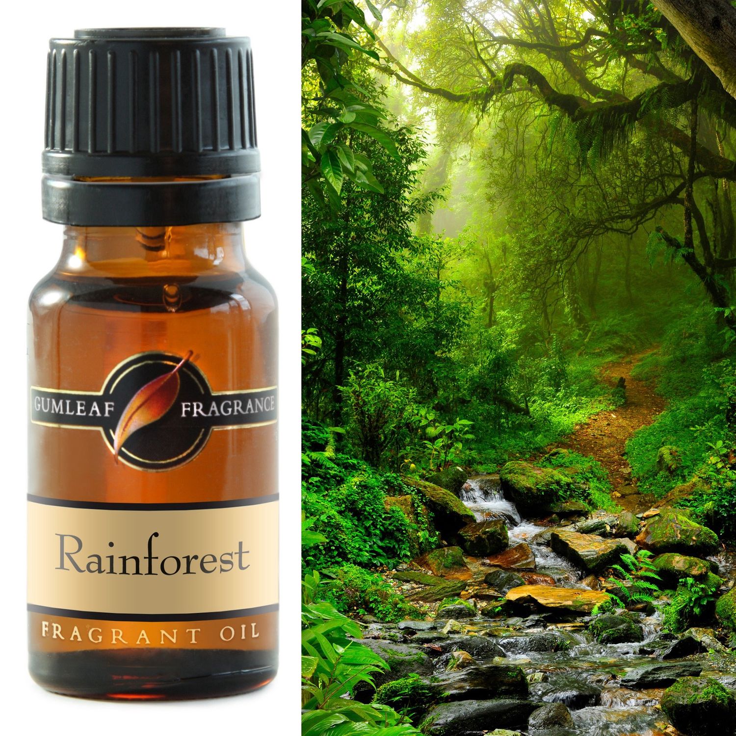 Rainforest Fragrance Oil