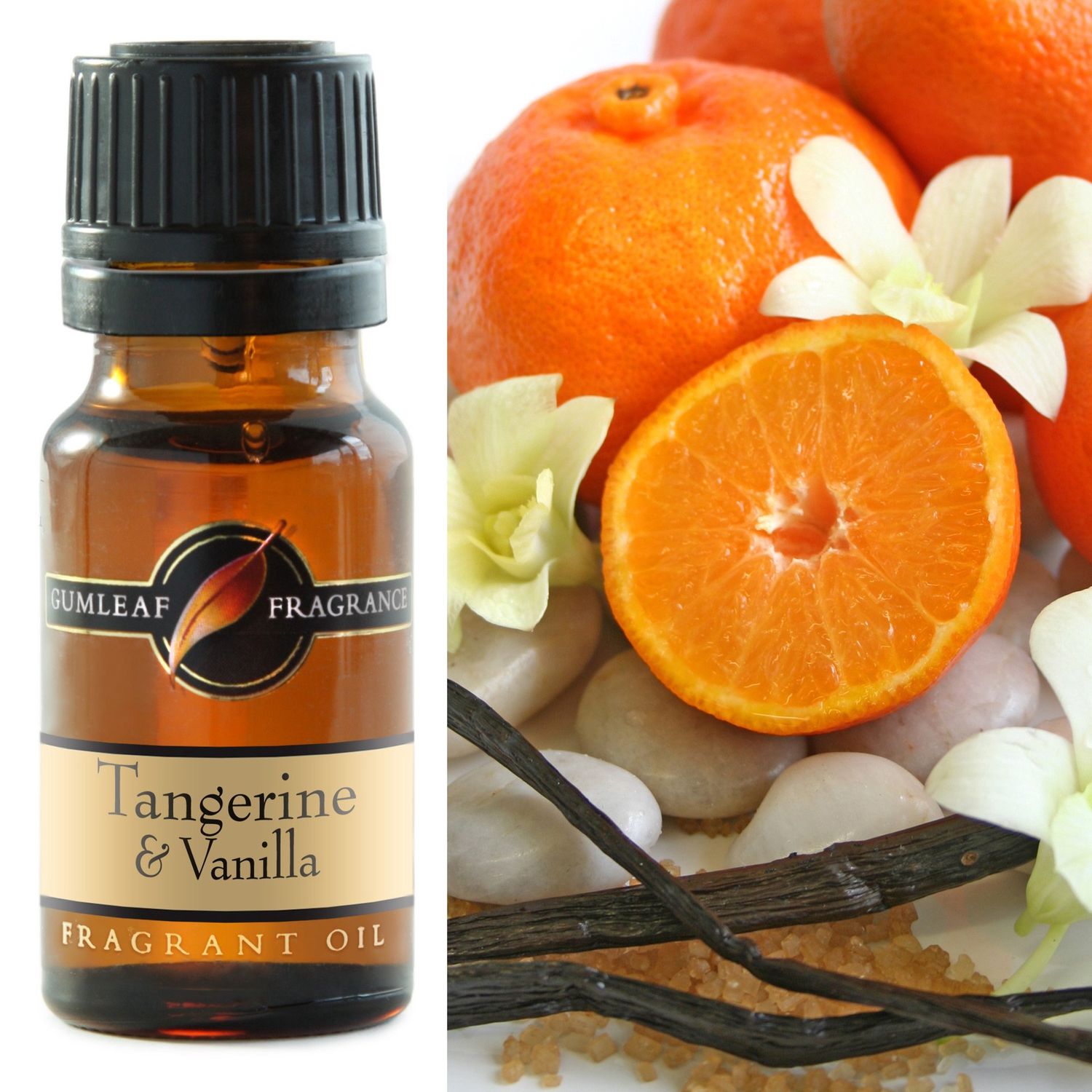 Tangerine &amp; Vanilla Fragrance Oil