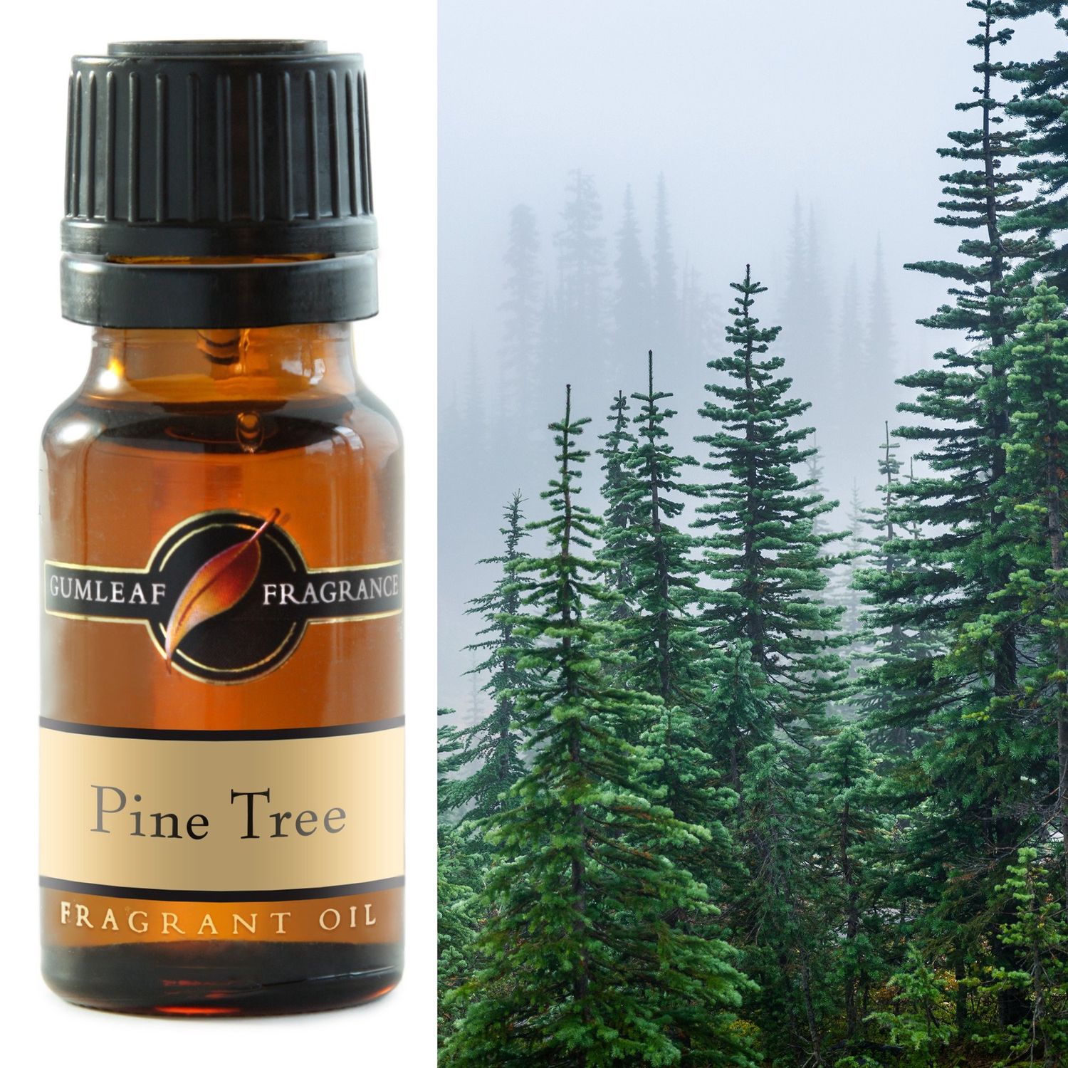 Pine Tree Fragrance Oil