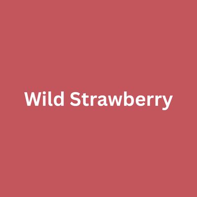Wild Strawberry - Single Drippy Candle