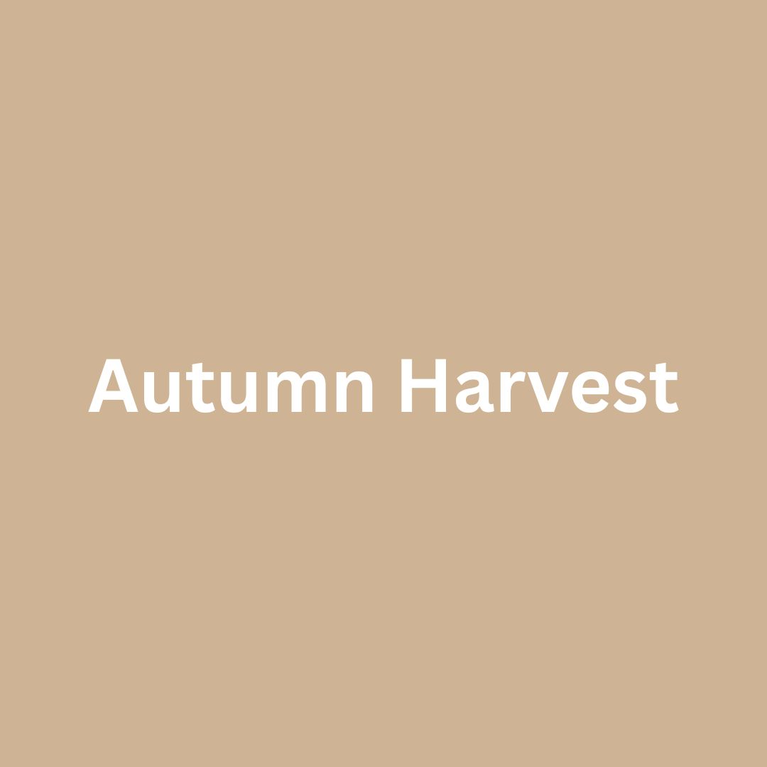 Autumn Harvest - Single Drippy Candle