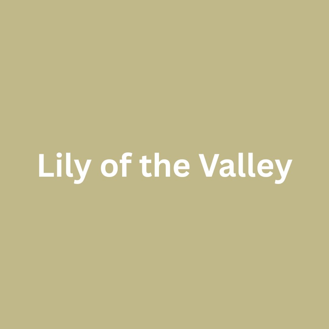 Lily of the Valley - Single Drippy Candle