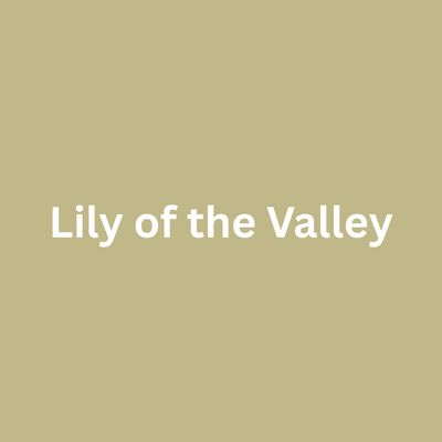 Lily of the Valley - Single Drippy Candle