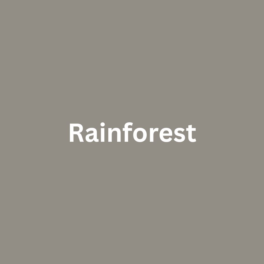 Rainforest - Single Drippy Candle