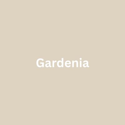 Gardenia - Single Drippy Candle