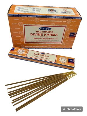 SATYA - Divine Karma