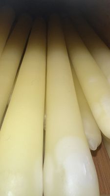 9 hour taper unscented candle