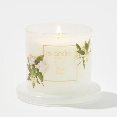 Papaya Mango - Blooms Soy Candle with Glass Cloche