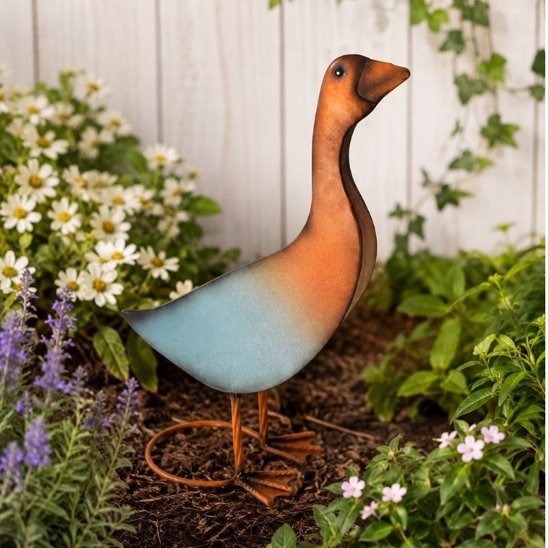 DUCK SMALL