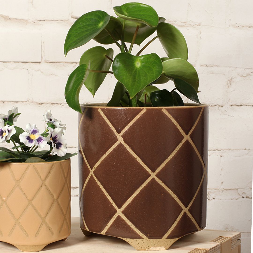 CHOCOLATE TICTACTOE POT 20CM - LARGE