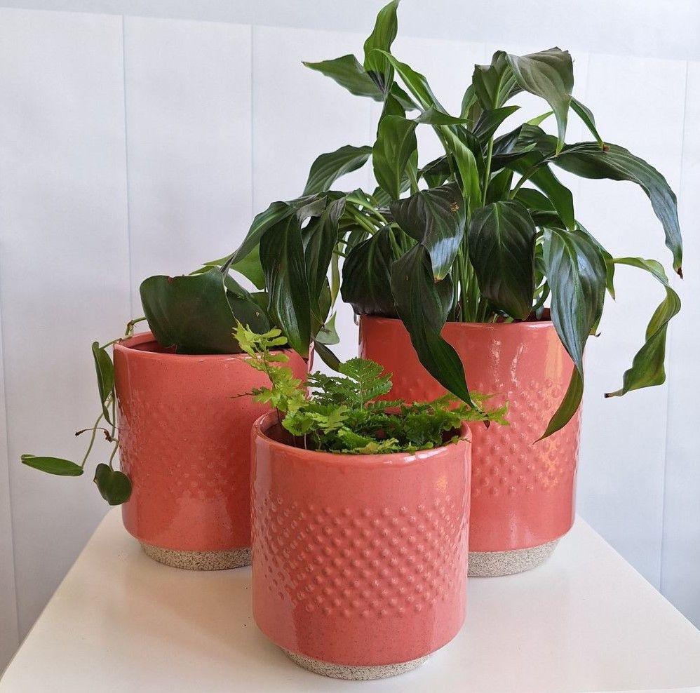 Coral Spot Pot Set of 3