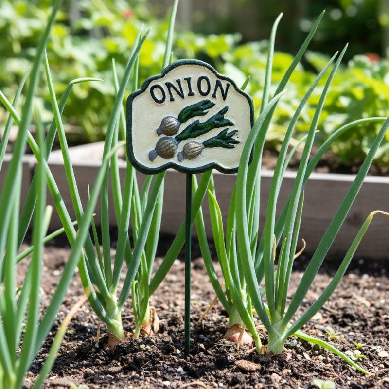 ONION STAKE