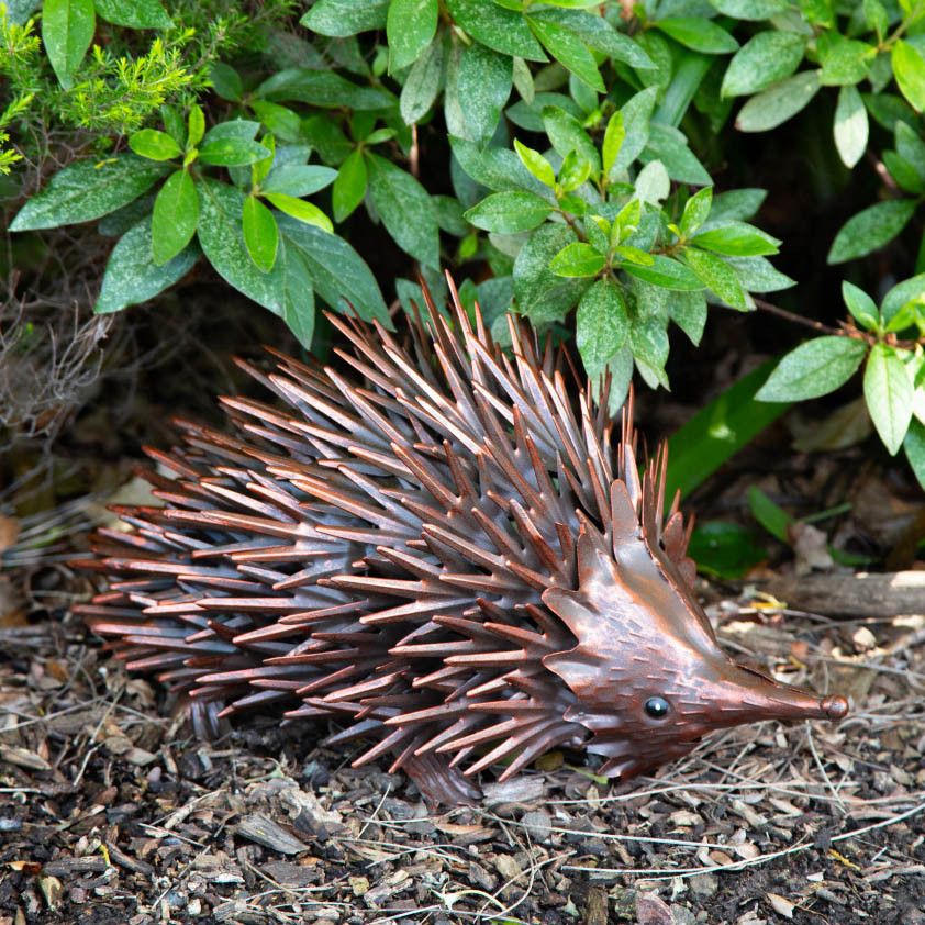 ECHIDNA